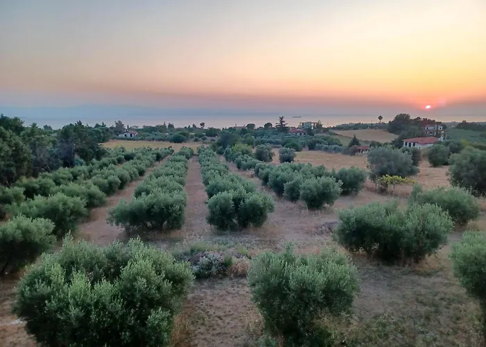 Palataki * Эпаноми