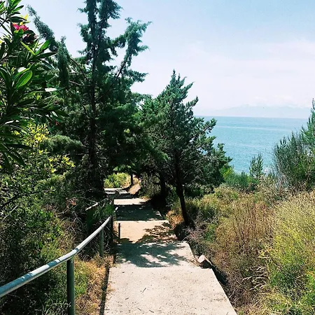 Palataki 빌라 *